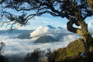 Desa Desakadongdong Sebagai Pilot Project Pariwisata Berkelanjutan